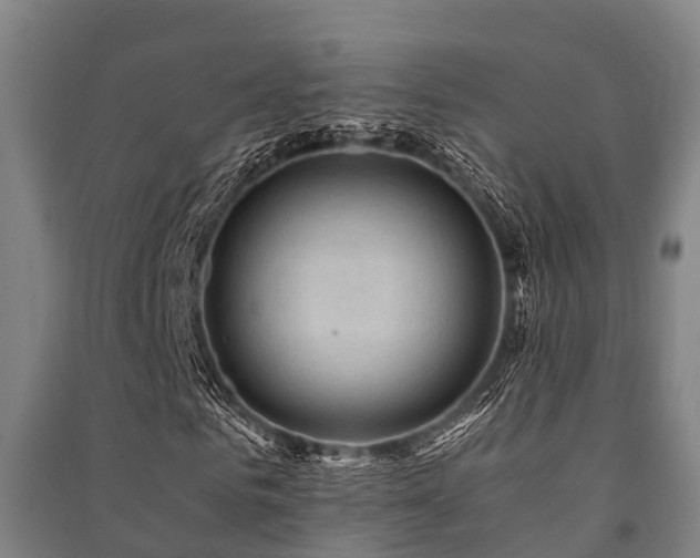 X0000091500961200708161455