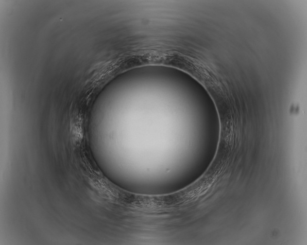 X0000091500962200708161455