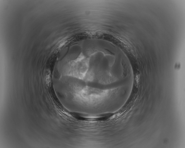 X0000091500963200708161455
