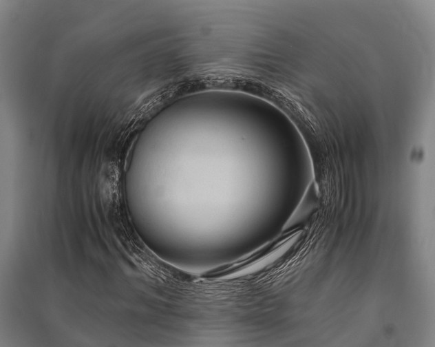 X0000091500964200708161455