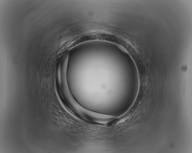 X0000091500965200708161455