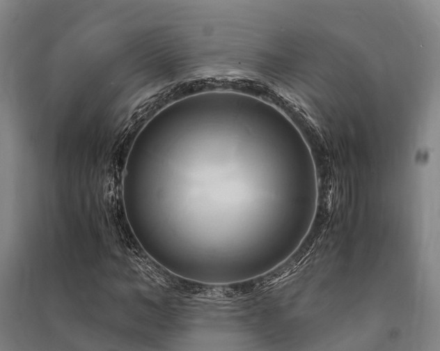 X0000091500966200708161455