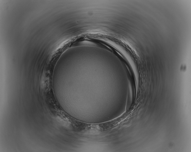 X0000091500968200708161455