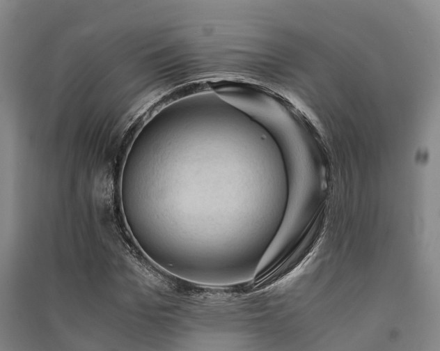 X0000091500969200708161455