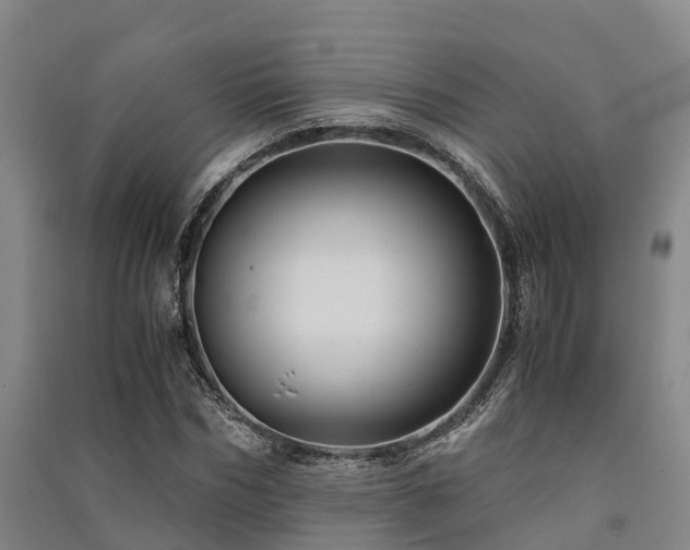 X0000091500970200708161455