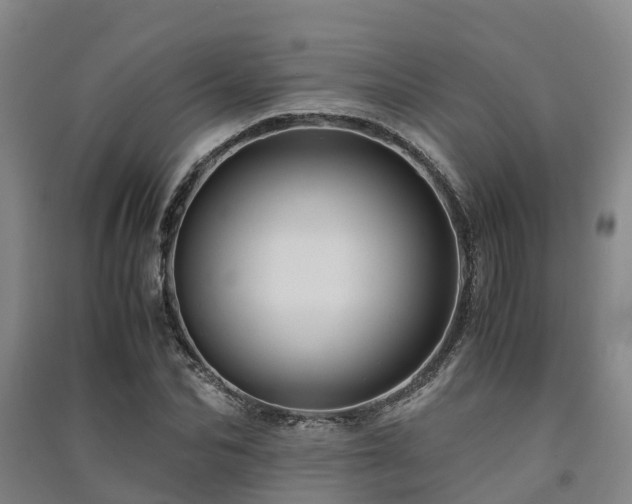 X0000091500974200708161455