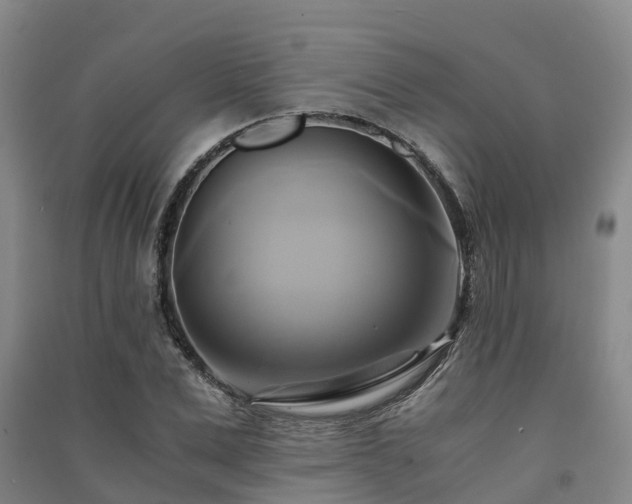 X0000091500975200708161455