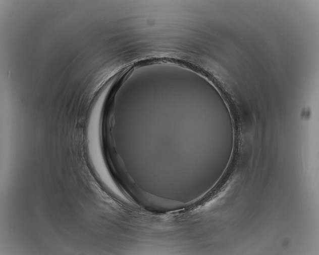 X0000091500977200708161455
