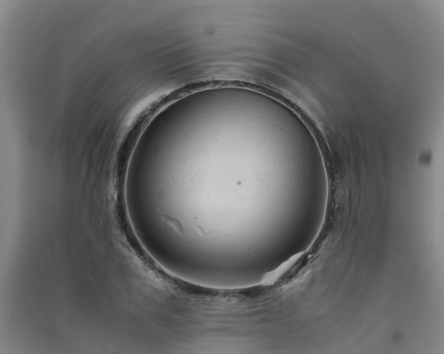 X0000091500979200708161455