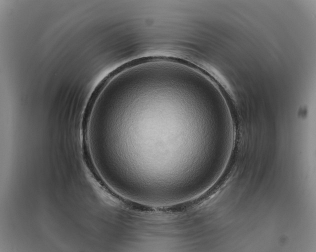 X0000091500980200708161455