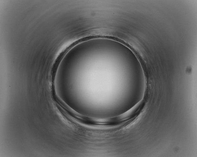 X0000091500981200708161455