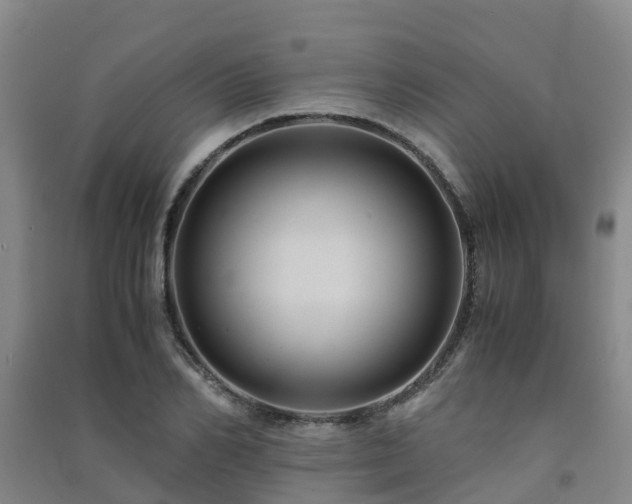 X0000091500982200708161455