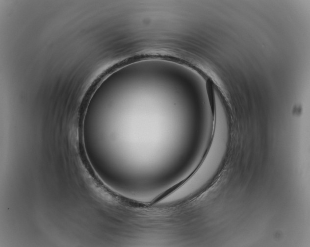 X0000091500984200708161455