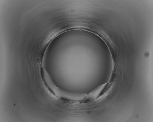 X0000091500985200708161455
