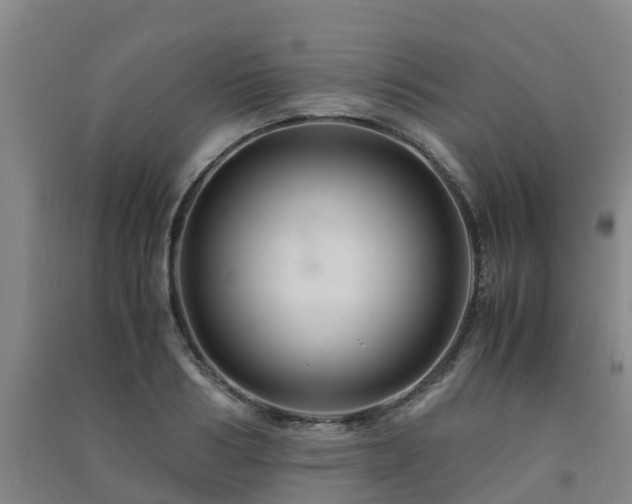 X0000091500986200708161455