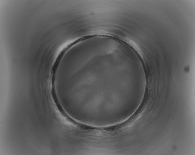 X0000091500987200708161455