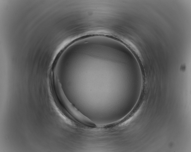 X0000091500989200708161455