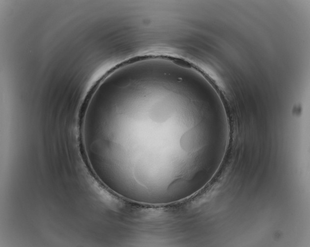 X0000091500990200708161455