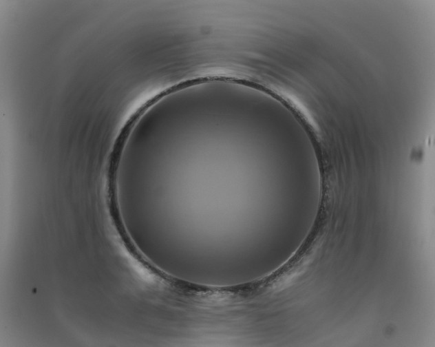 X0000091500991200708161455