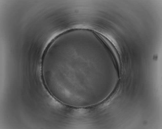 X0000091500992200708161455