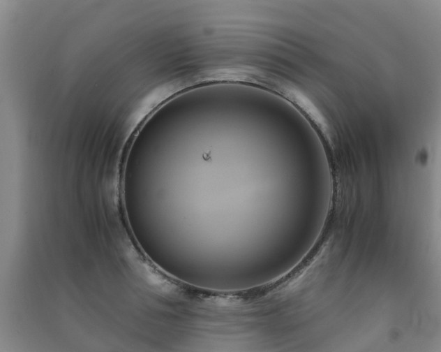 X0000091500994200708161455