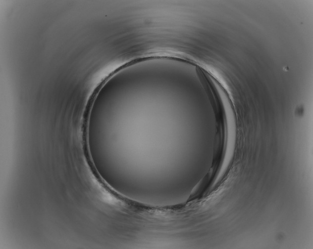 X0000091500995200708161455