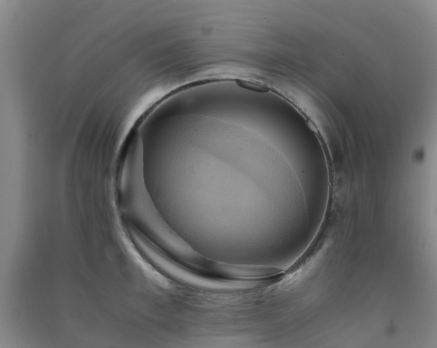 X0000091500997200708161455