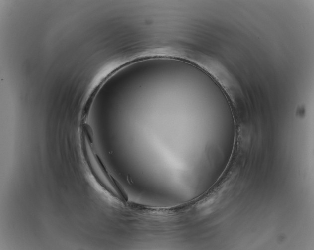 X0000091500998200708161455