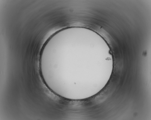 X0000091501000200708161455