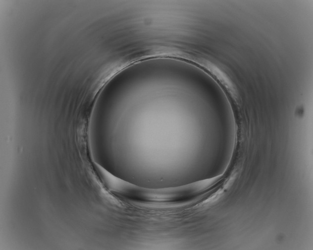 X0000091501001200708161455