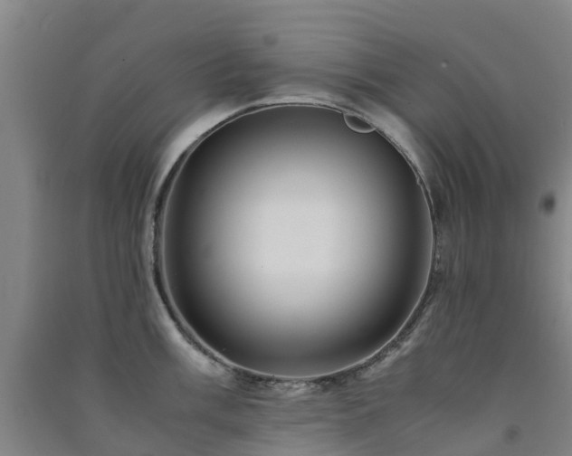 X0000091501003200708161455