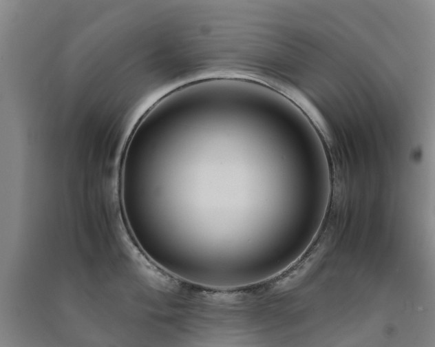 X0000091501004200708161455