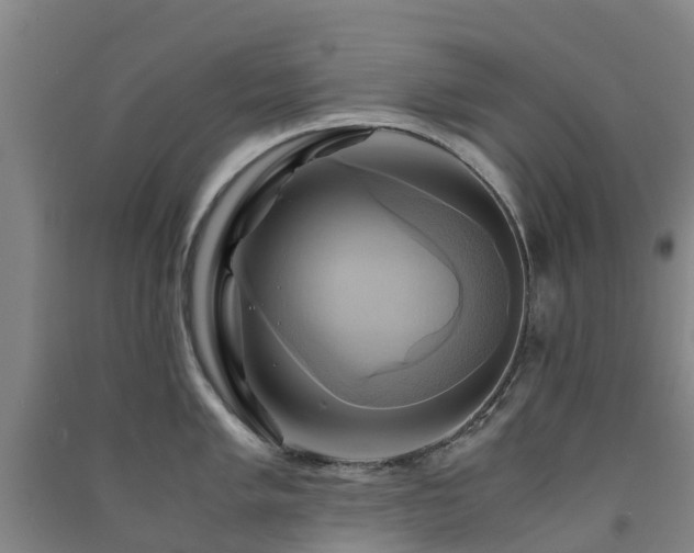 X0000091501005200708161455