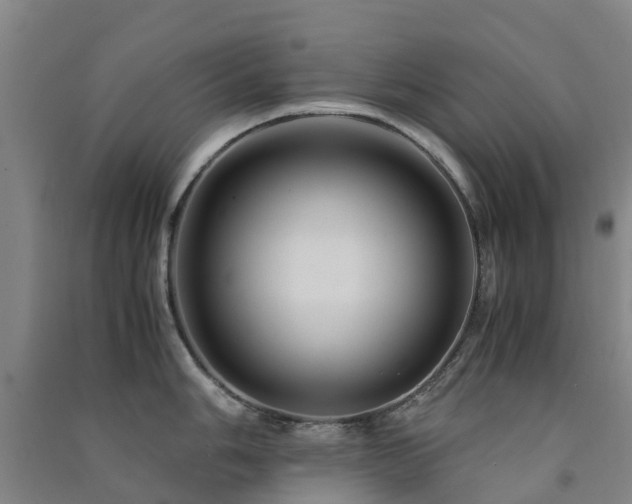 X0000091501006200708161455