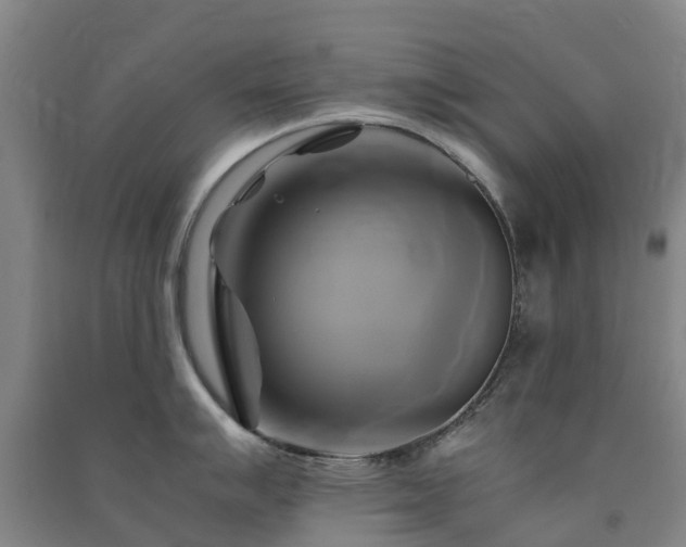 X0000091501007200708161455