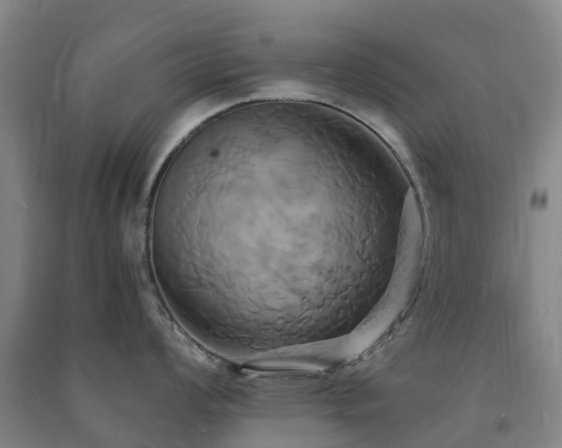X0000091501008200708161455