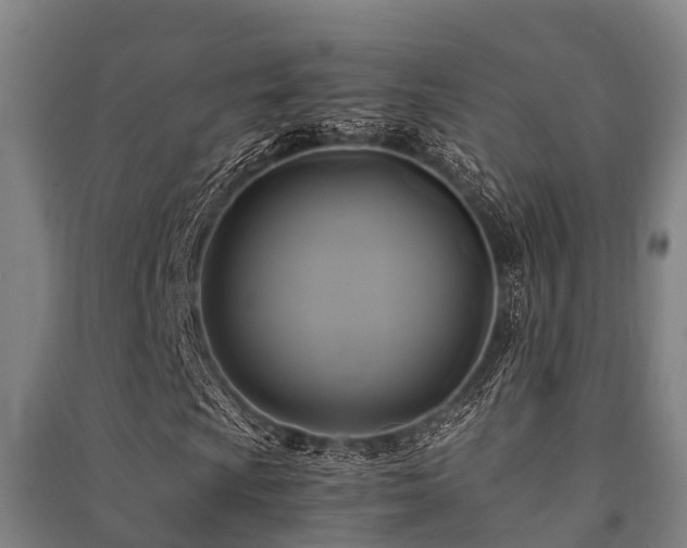 X0000091501009200708161454