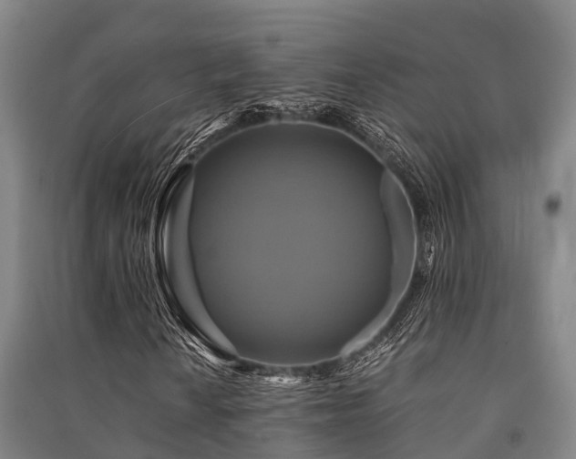 X0000091501010200708161454