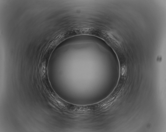 X0000091501011200708161454