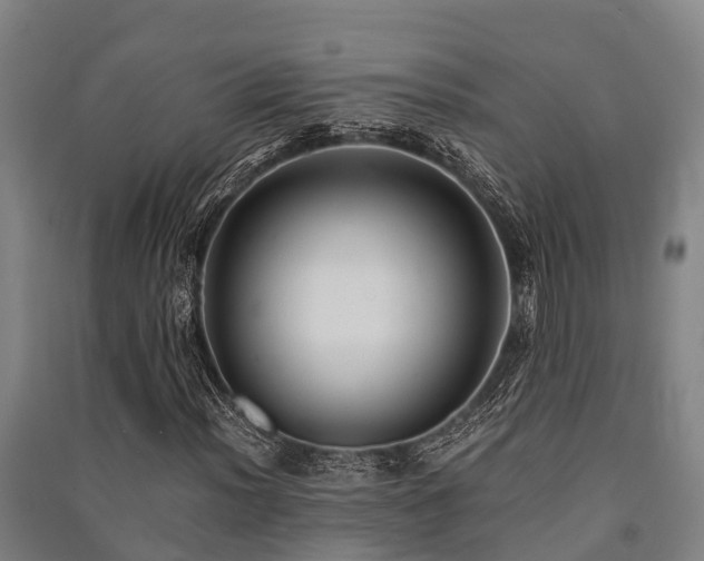 X0000091501012200708161454