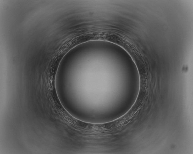 X0000091501013200708161454