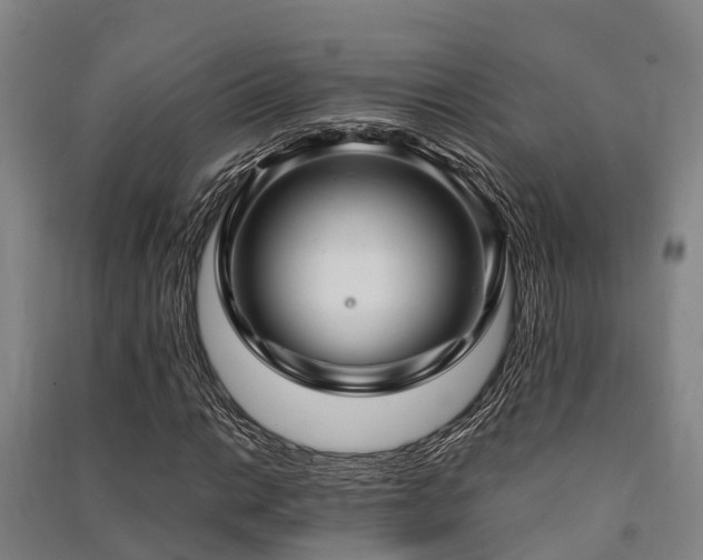 X0000091501014200708161454