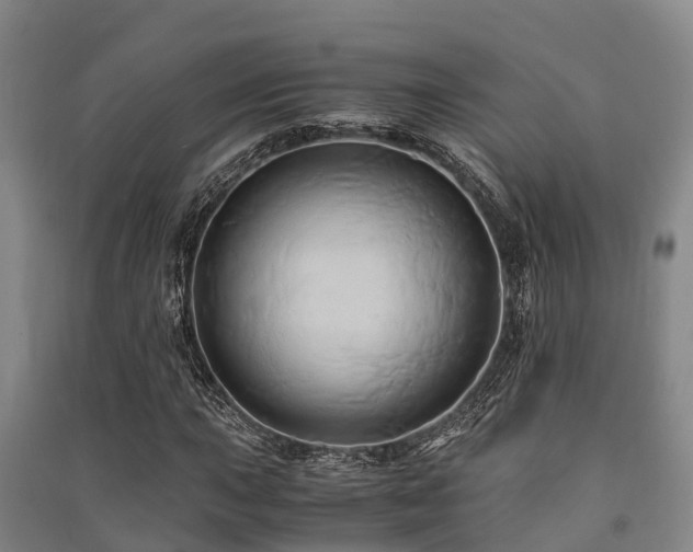 X0000091501015200708161454