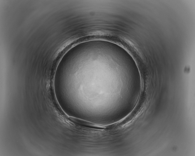 X0000091501017200708161454