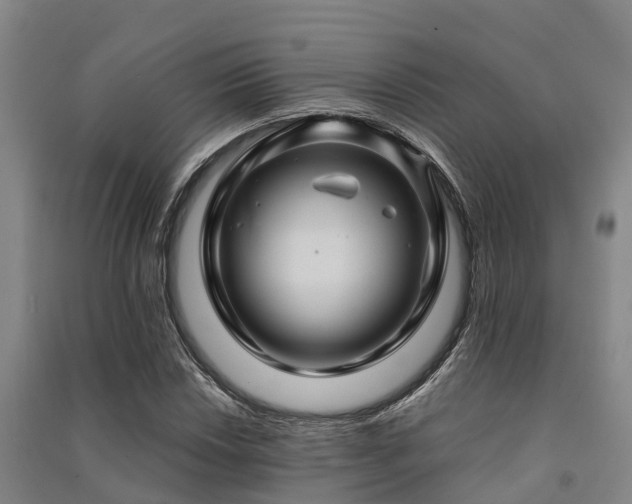 X0000091501018200708161454