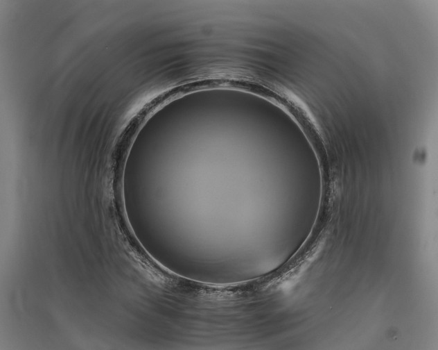 X0000091501019200708161454