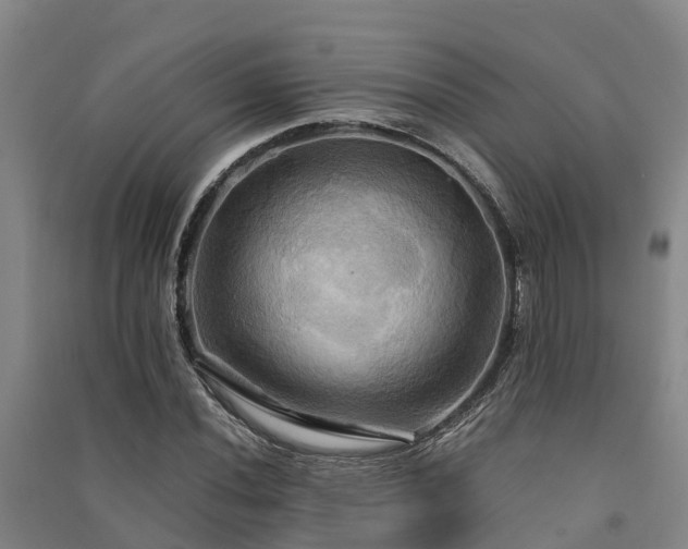 X0000091501020200708161454