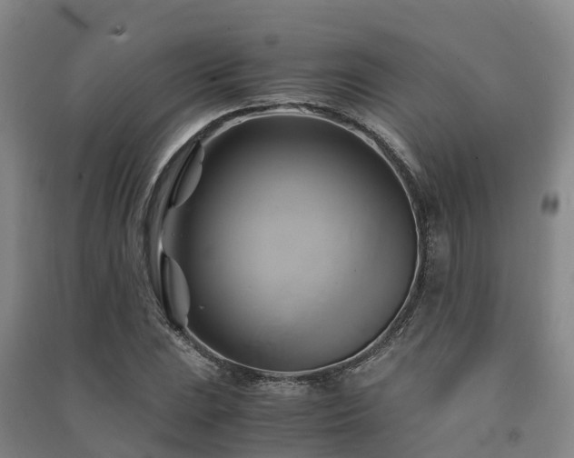 X0000091501023200708161454