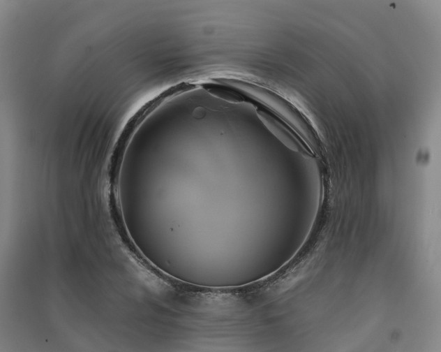 X0000091501024200708161454