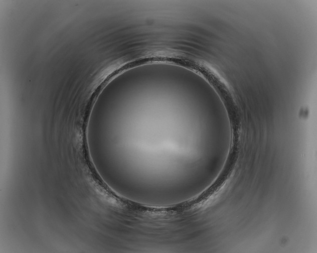 X0000091501025200708161454